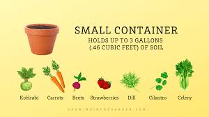 Guide To Container Sizes Which Size