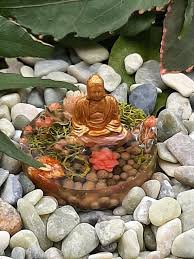 Buy Miniature Zen Garden Mini Zen