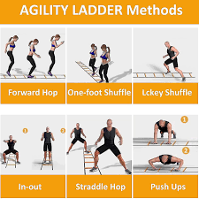 agility sd ladder training ladder