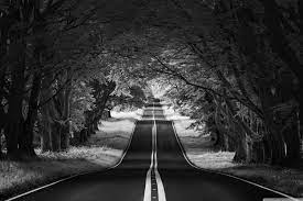 Road Landscape, Aesthetic, Black and ...