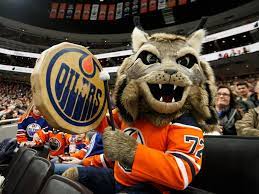 The edmonton oilers revealed the newest member of the oilers family, introducing their official mascot, hunter the canadian lynx. Nhl Podcast Head Scratching Over Edmonton Oilers Home Woes Edmonton Journal