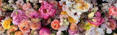 florabundance whole flowers for