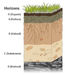 Soil Horizon Wikipedia