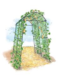Crafted in raw metal, our barrington plant supports are designed to age to a naturally rusty finish. Titan Tunnel Trellis For Squash Zucchini Melons Gardeners Com