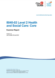 Level 2 Health And Social Care Core