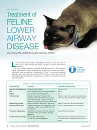 How do preventer inhalers help asthma? Pdf Treatment Of Feline Lower Airway Disease