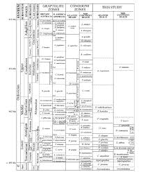 Biostratigraphic Correlation Chart For The Ordovician System
