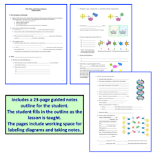 The segments of dna which hold the key to. Dna Rna Protein Synthesis Powerpoint And Notes Printable And Digital