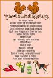 how-do-you-repel-squirrels-naturally