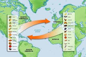 Columbian Exchange With A Cause And Effect Flow Chart