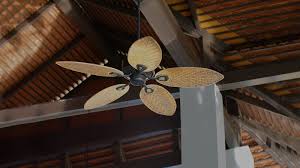 5 out of 5 stars. Best Ceiling Fans In India Decorative Designer Fans
