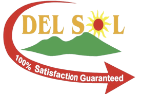 del sol carpet cleaning professional