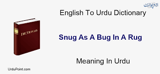 snug as a bug in a rug meaning in urdu