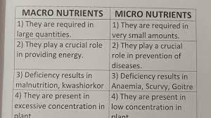 difference between macro nutrients and