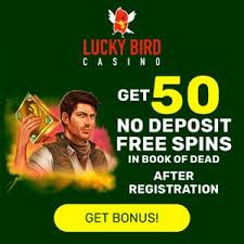 The no deposit bonuses is one of the most popular casino bonus the online casino is offering their new players. 50 Free Spins No Deposit New Free Spins No Deposit