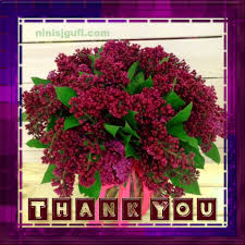 This clipart image is transparent backgroud and png format. Best Purple Flower Thank Gifs Gfycat
