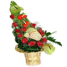 send rosy delight gifts to coimbatore
