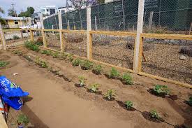Installing Drip Irrigation For A