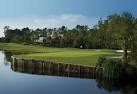 Saddlebrook Resort - Palmer Course - Reviews & Course Info | GolfNow