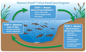 nature s pond care an alternative to