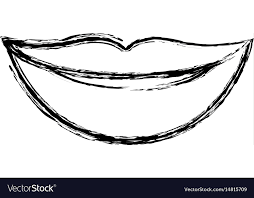 lips smiling vector image