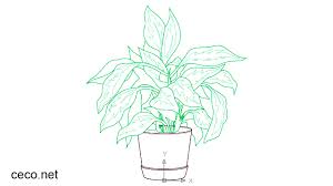 Indoor Plant Pot With Large Leaves Dwg
