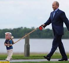 Browse thousands of other custom discord and slack emoji on emoji.gg. Putin Walking Baby Trump On A Leash Photoshopped Starecat Com