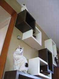 Modern Cat Furniture Diy Cat Shelves