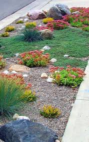 best drought tolerant landscaping ideas