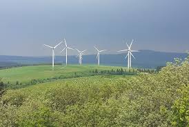 Drahá elektřina sníží nároky na dotování zelené energie. Kdo ušetří 20  miliard? - Ekonomický deník