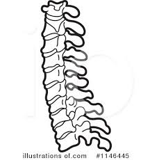 Spinal cord wants to encourage researchers to consider conducting systematic reviews or narrative reviews and welcomes these submissions. Spine Clipart 1146445 Illustration By Lal Perera