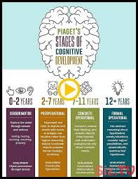 Piagets Four Stages Of Cognitive Development Infographic