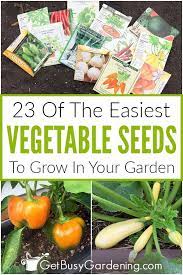 23 Easiest Vegetables To Grow From Seed