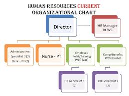 Human Resources Current Organizational Chart Ppt Download