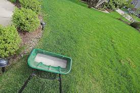 starter fertilizer to your lawn