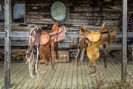 western saddle seat size