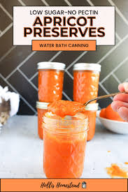 apricot preserves canning recipe no