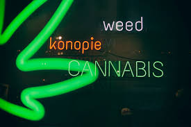 Browse through our shop online and click the products you'd like to purchase. Mops Coffeeshop Cannabis Store Shopping In Krakow Krakow