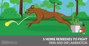 remes for dogs sprains and strains