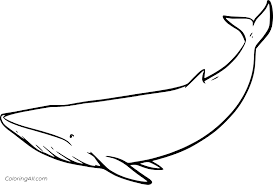 A coloring page set and a colored animal set include an emperor penguin, a chinstrap penguin, an orca or killer whale, an elephant seal, and a crabeater seal. Baleen Whales Coloring Pages Coloringall