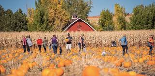 things to do in denver in the fall
