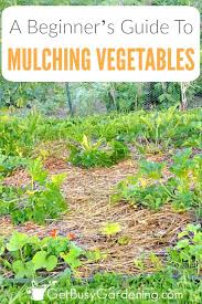 Mulching A Vegetable Garden