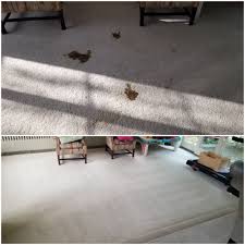 carpet cleaning in glastonbury ct