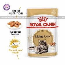 royal canin wet cat food pouch maine