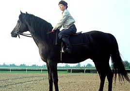 Share this young black stallion image. The Black Stallion