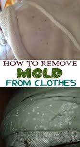 Steps to remove the mildew stains. 34 Best Remove Mold On Clothes Ideas Mold On Clothes Get Rid Of Mold Cleaning Hacks