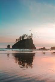 59 Best Ruby Beach And Others Close By Images Beach