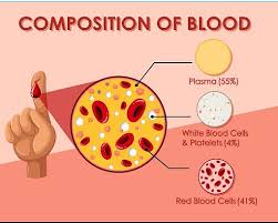 difference between blood and plasma