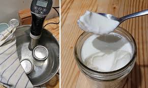 a simple homemade yogurt recipe