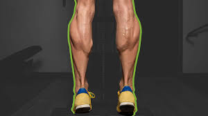 the 8 best calf exercises for lower